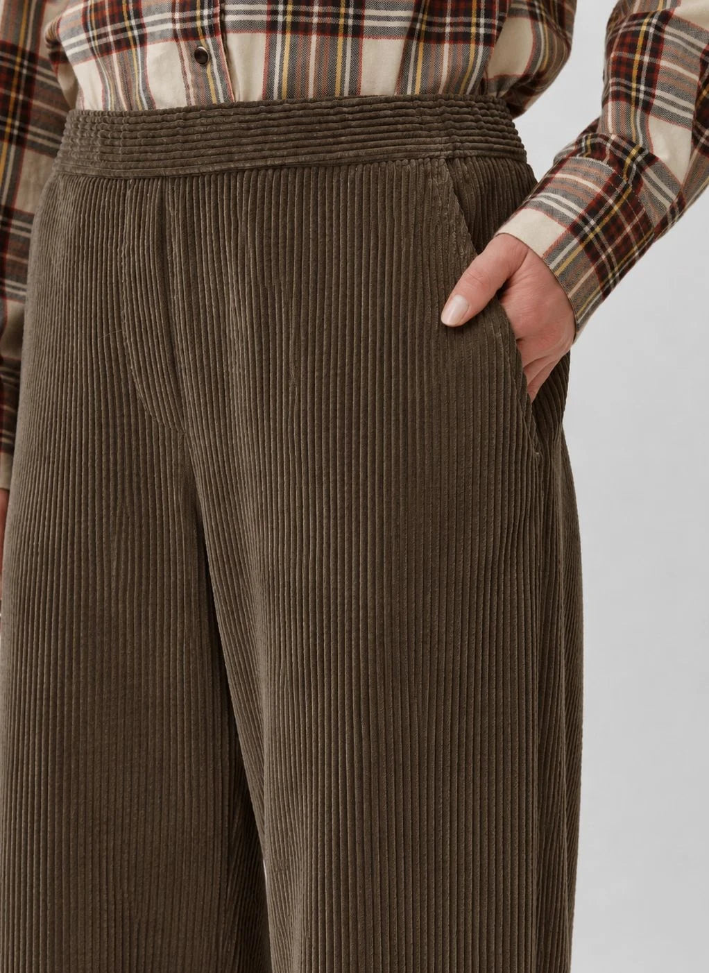 Diega - Pantero Cotton | Camel