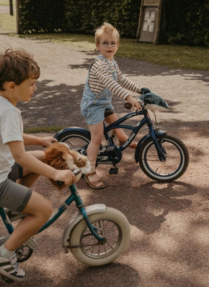 Wild & Soft - Lion scooter head | Brown