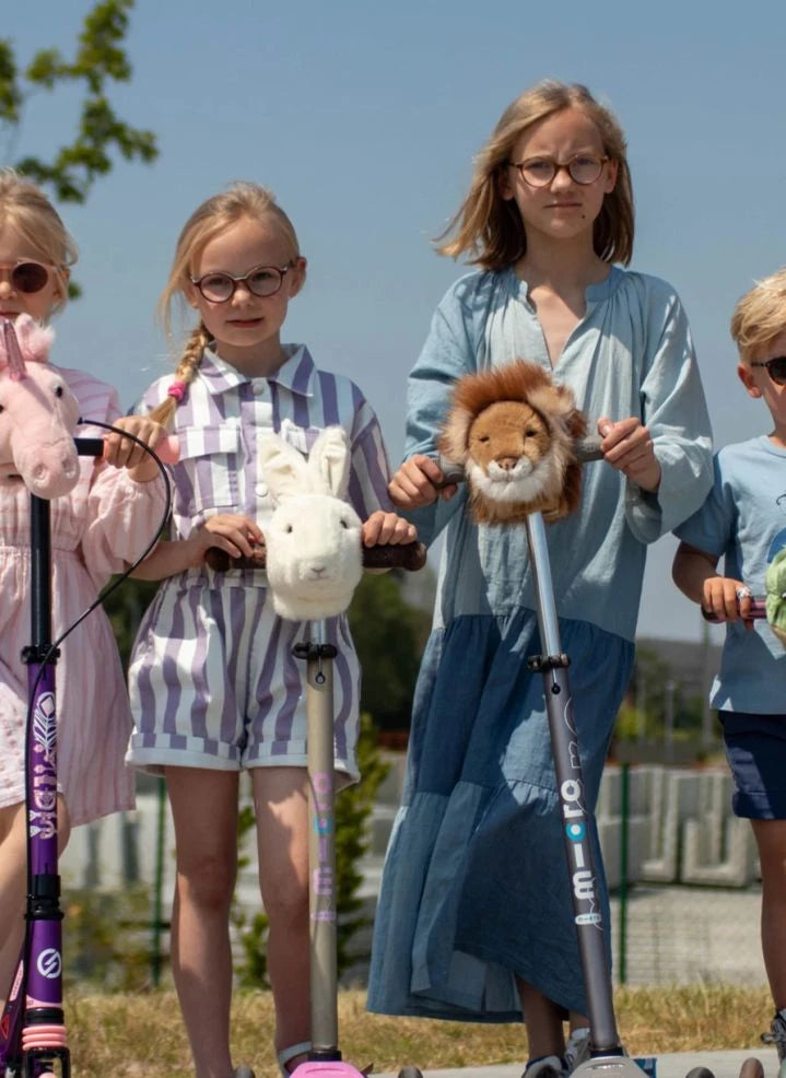 Wild & Soft - Lion scooter head | Brown